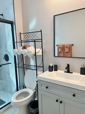 Regadera, secadora de cabello, toallas, jabón