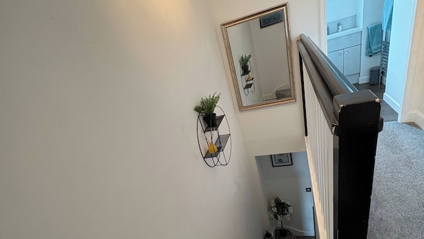 A staircase with a handrail, a wall-mounted mirror, and a small potted plant.
