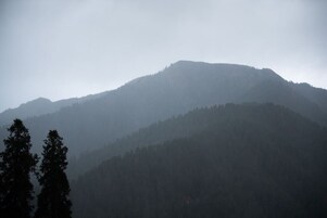 Vista desde la propiedad