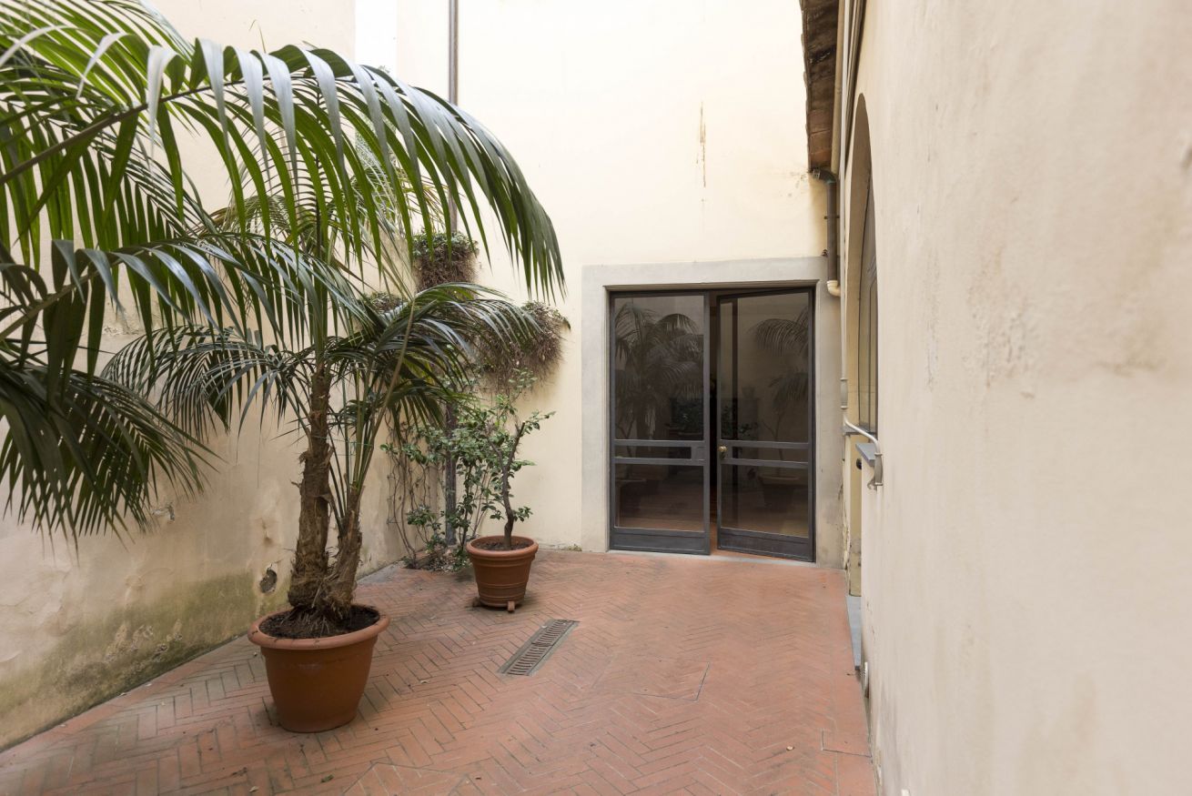 A narrow courtyard with a palm tree and a potted plant.