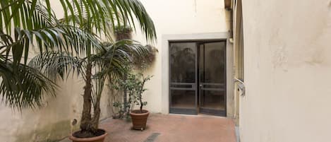 Un patio estrecho con una palmera y una planta en maceta.