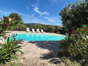 Outdoor pool - Gîte Sous Les Oliviers, a haven of peace near the Gorges du Verdon. (AUPS)