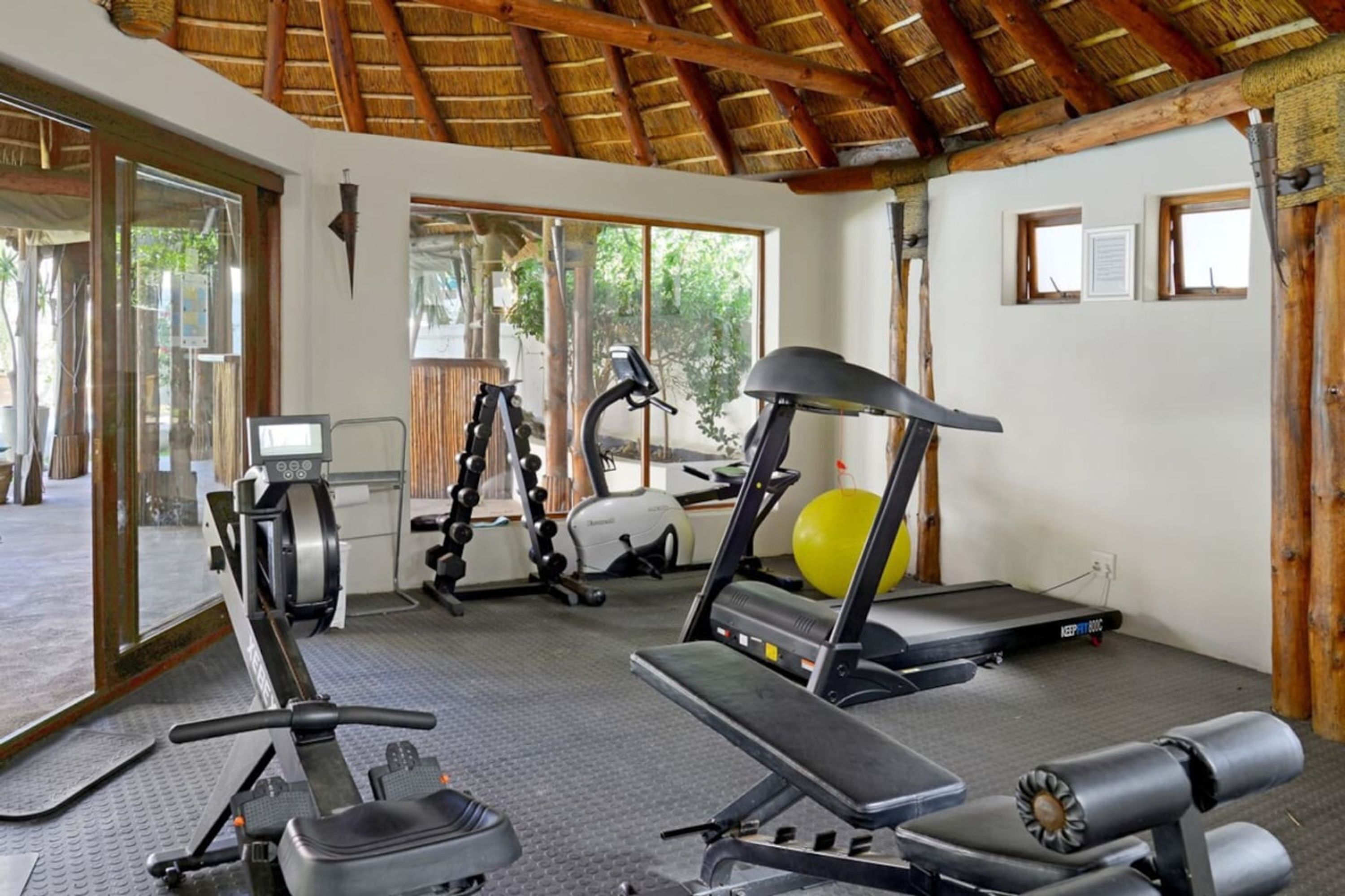 A gym with cardio equipment, a treadmill, and a stationary bike.