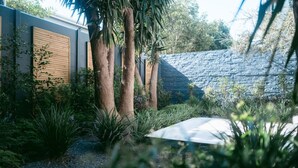 A modern outdoor area with a stone wall, wooden panel doors, and various plants. - Serene Oasis Nestled Under Table Mountain (Cape Town)