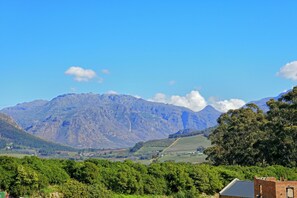 Apartment | 1 bedroom - Serene Franschhoek One Bed With Breathtaking Views (Franschhoek)