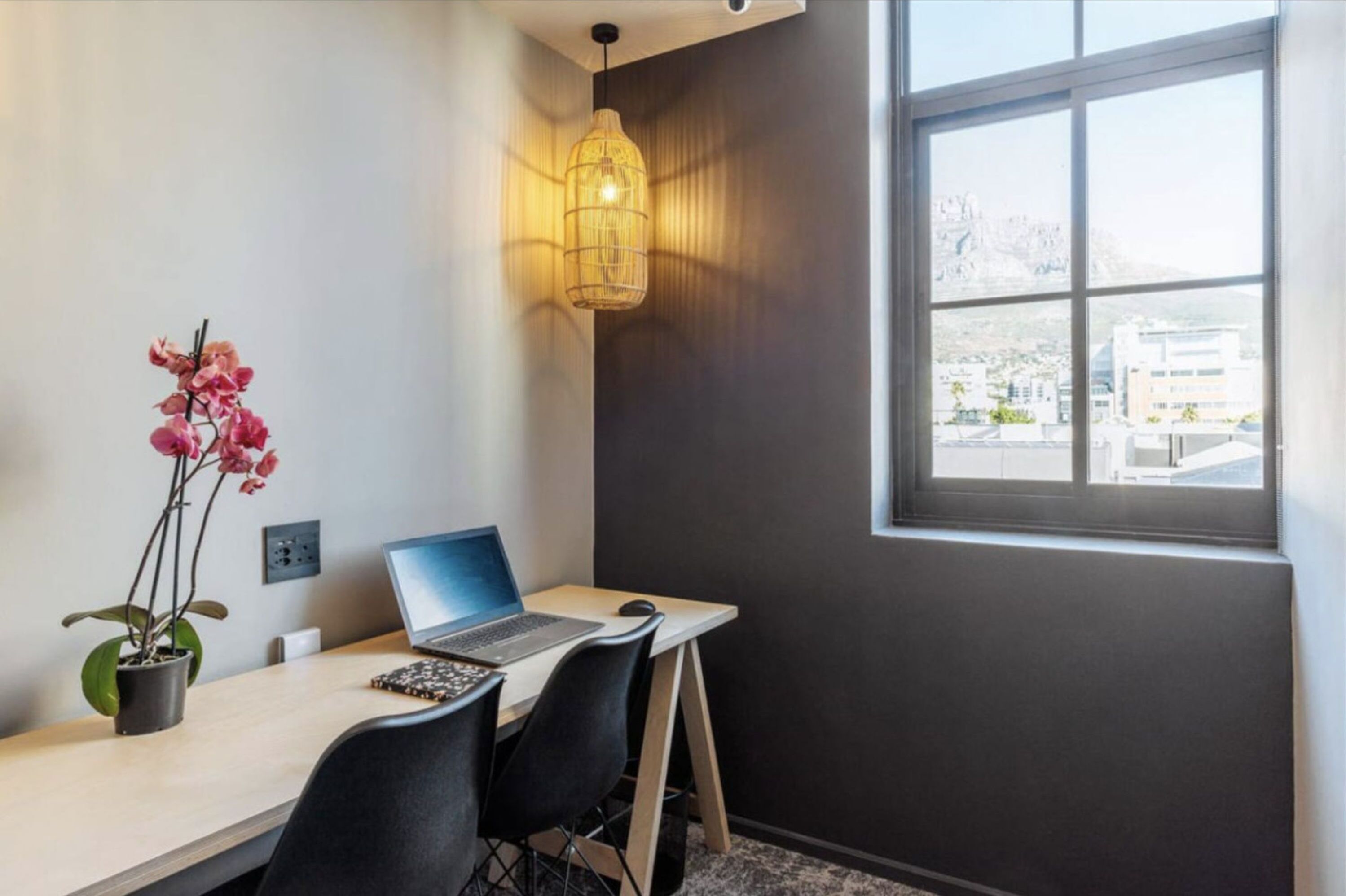 A modern office space with a desk, laptop, and a potted orchid.