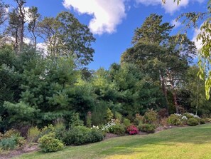 Property grounds - Fabulous 6-bedroom 3 bath house w swimming pool, Pool House near 1st Encounter. (Eastham)