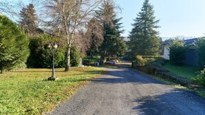 Eine Landstraße mit einem am Straßenrand geparkten Auto, umgeben von Bäumen und Grün.