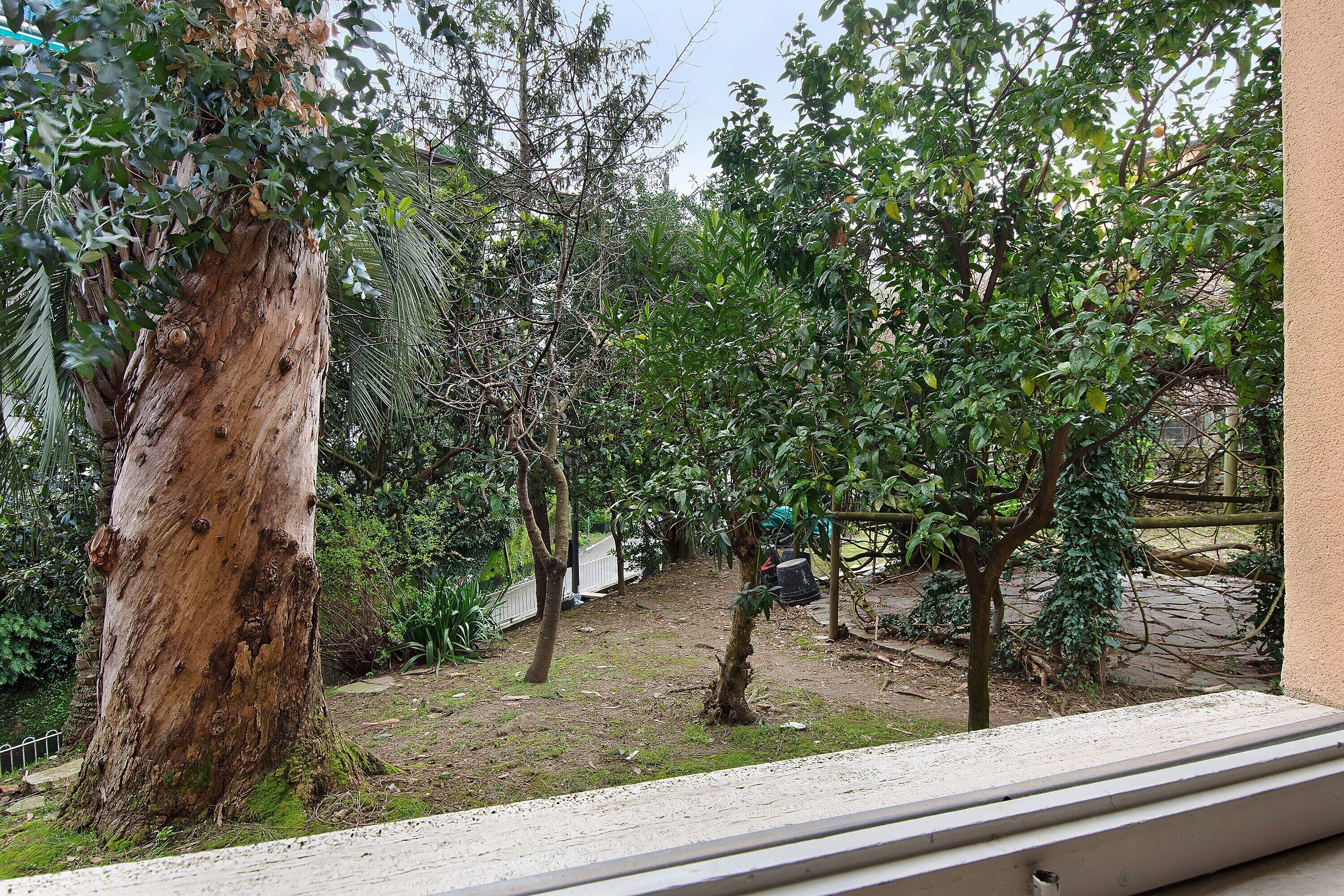Ein Garten mit verschiedenen Bäumen, einem Pfad und einem Gebäude im Hintergrund.