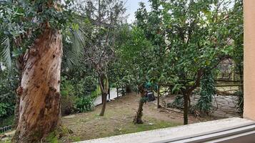 Ein Garten mit verschiedenen Bäumen, einem Pfad und einem Gebäude im Hintergrund.
