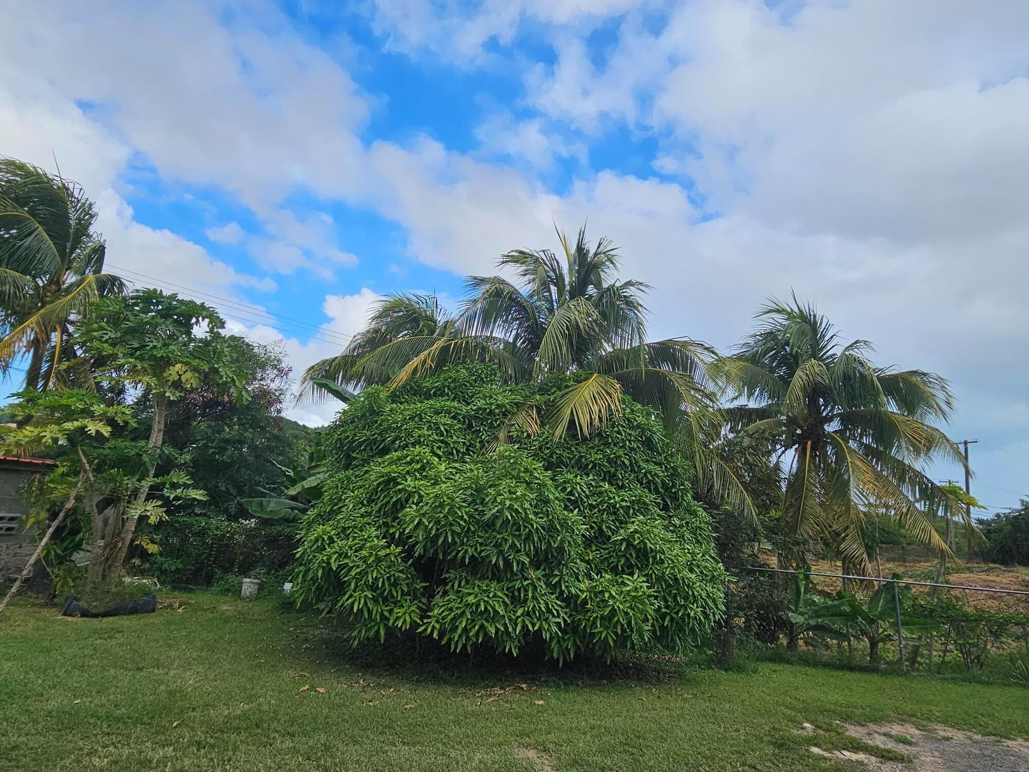 บริเวณภายนอก