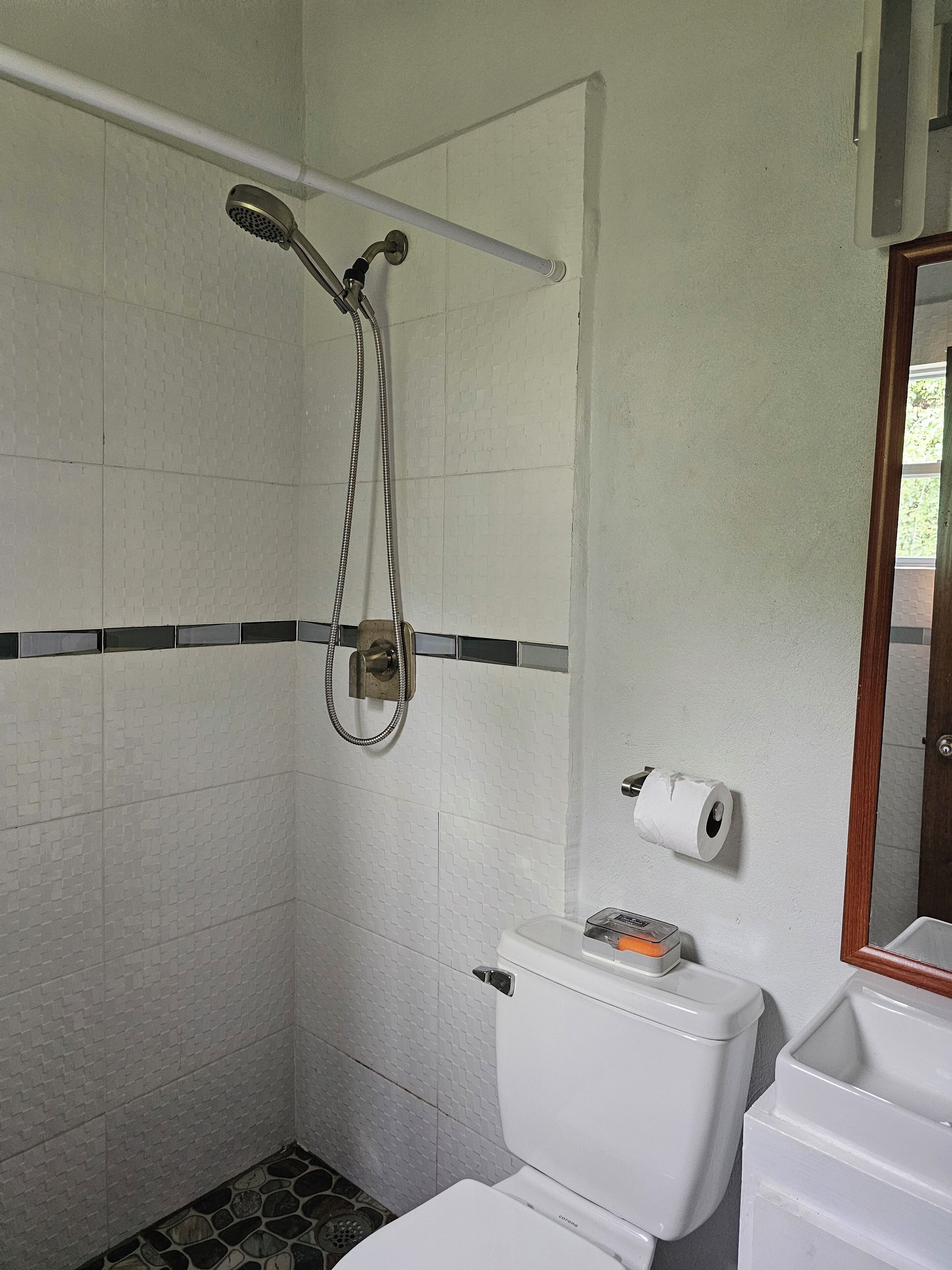 Une salle de bain avec douche, toilettes et une poubelle.