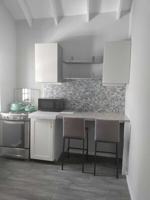 Kamar Double Comfort, dapur, pemandangan kebun | Dapur pribadi | Lemari es besar, microwave, oven, dan kompor