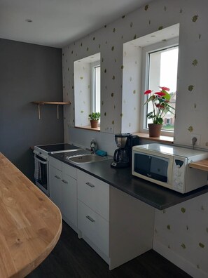 Fridge, microwave, oven, stovetop - Jonquille Room with Wi-Fi (Brû)