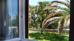 Vista a través de una ventana que muestra un jardín con una palmera y plantas en flor.