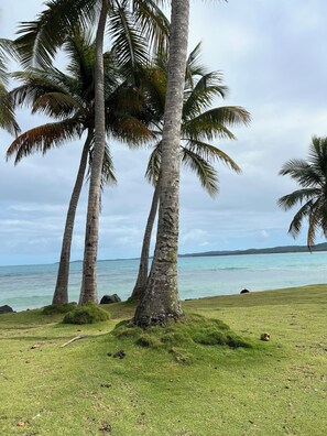 On the beach - Cozy apartment in front of the sea  (Luquillo)
