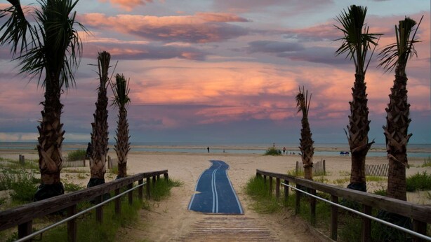 A wooden boardwalk leading to a beach with palm trees on either side. - Marshlands Views + Golf Course. Pool. Restaurant. (St. Simons Island)