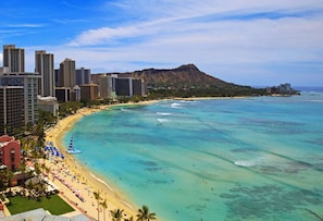 Beach - Direct Ocean Views + Infinity Pool. Sauna. Gym. (Honolulu)