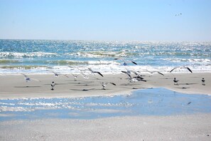 Vlak bij het strand