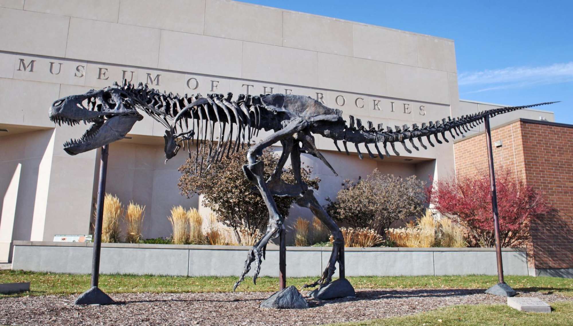 Une exposition présentant le squelette d’un dinosaure devant le musée des Rocheuses.
