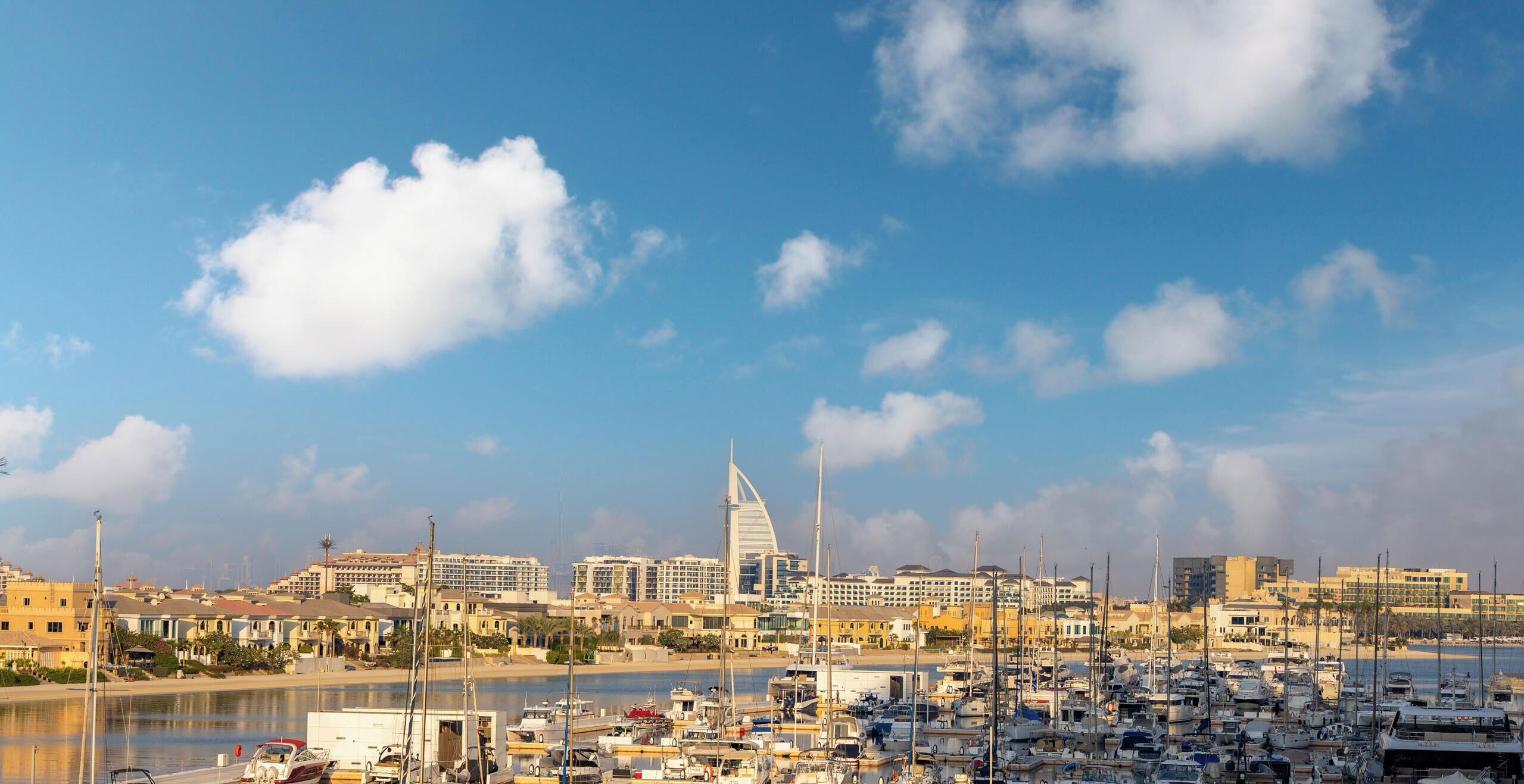 A marina with numerous boats docked, a prominent sailboat with a unique sail design, and a cityscape with various buildings in the background.