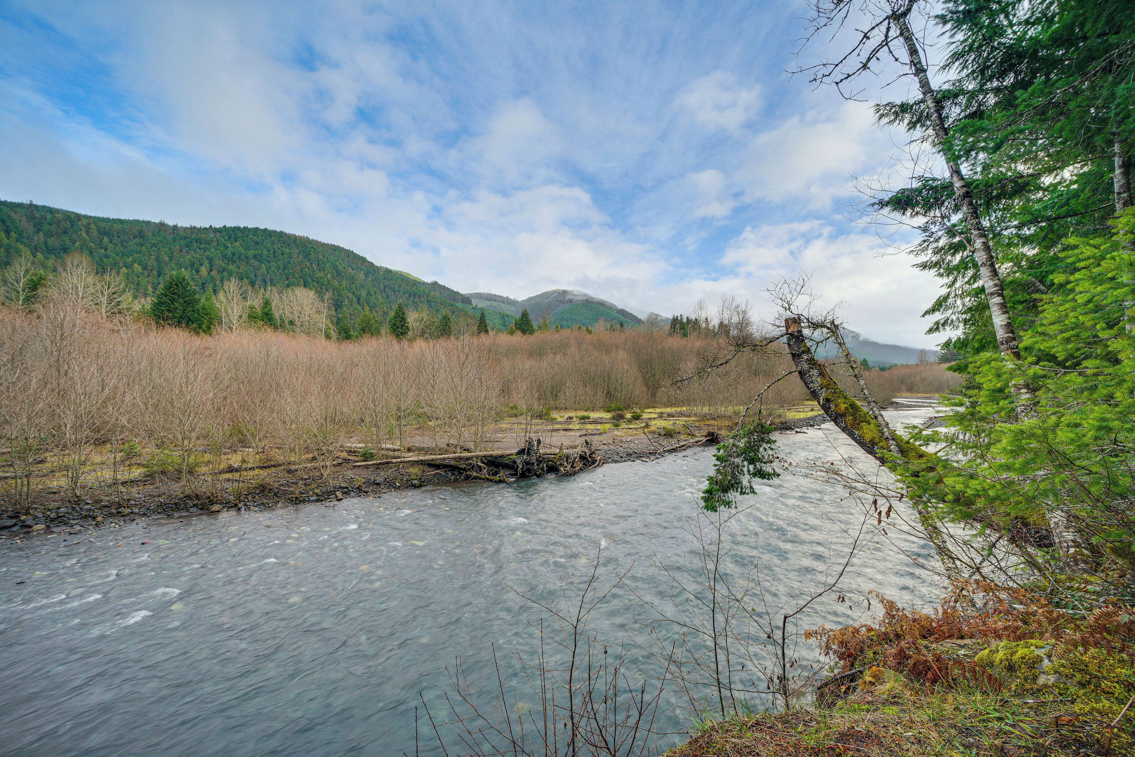 A river flowing through a forested area with mountains in the background.