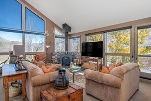 Fireplace, books, offices, printers