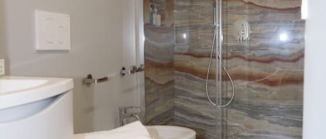 Shower, hair dryer, bidet, towels