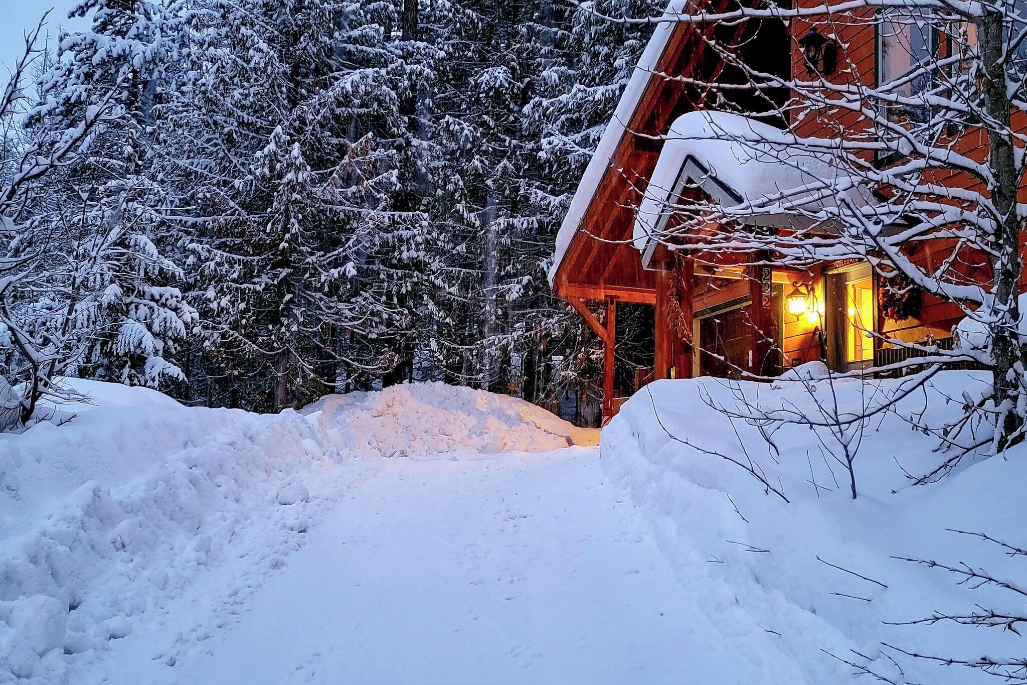 A wooden cabin with a warm interior light, surrounded by snow-covered trees and a snow-covered ground.