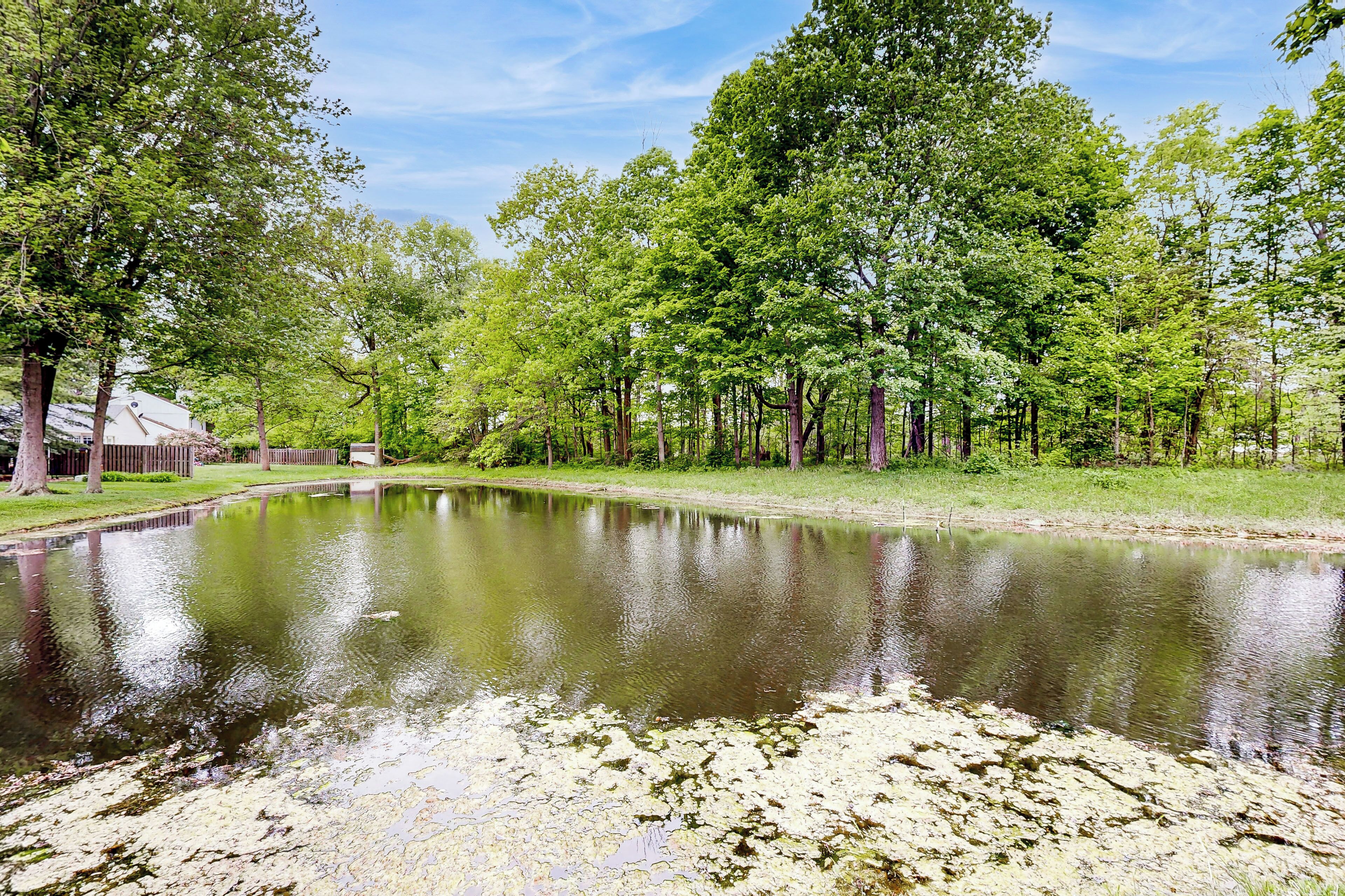 A serene pond surrounded by lush greenery and trees, with a building partially visible on the left.