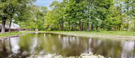 A serene pond surrounded by lush greenery and trees, with a building partially visible on the left.