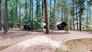 A forested area with a concrete path leading to a building marked 8175. - Hot Tub & Game Room! Pinetop 'wild Horse Retreat' (Pinetop)