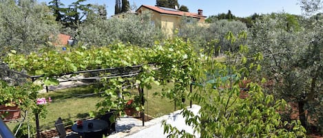 屋外ダイニングエリア