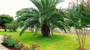 Apartment, 1 Bedroom, Balcony, Garden View | Garden