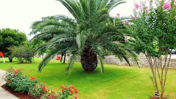 Apartment, 1 Bedroom, Balcony, Garden View | Garden