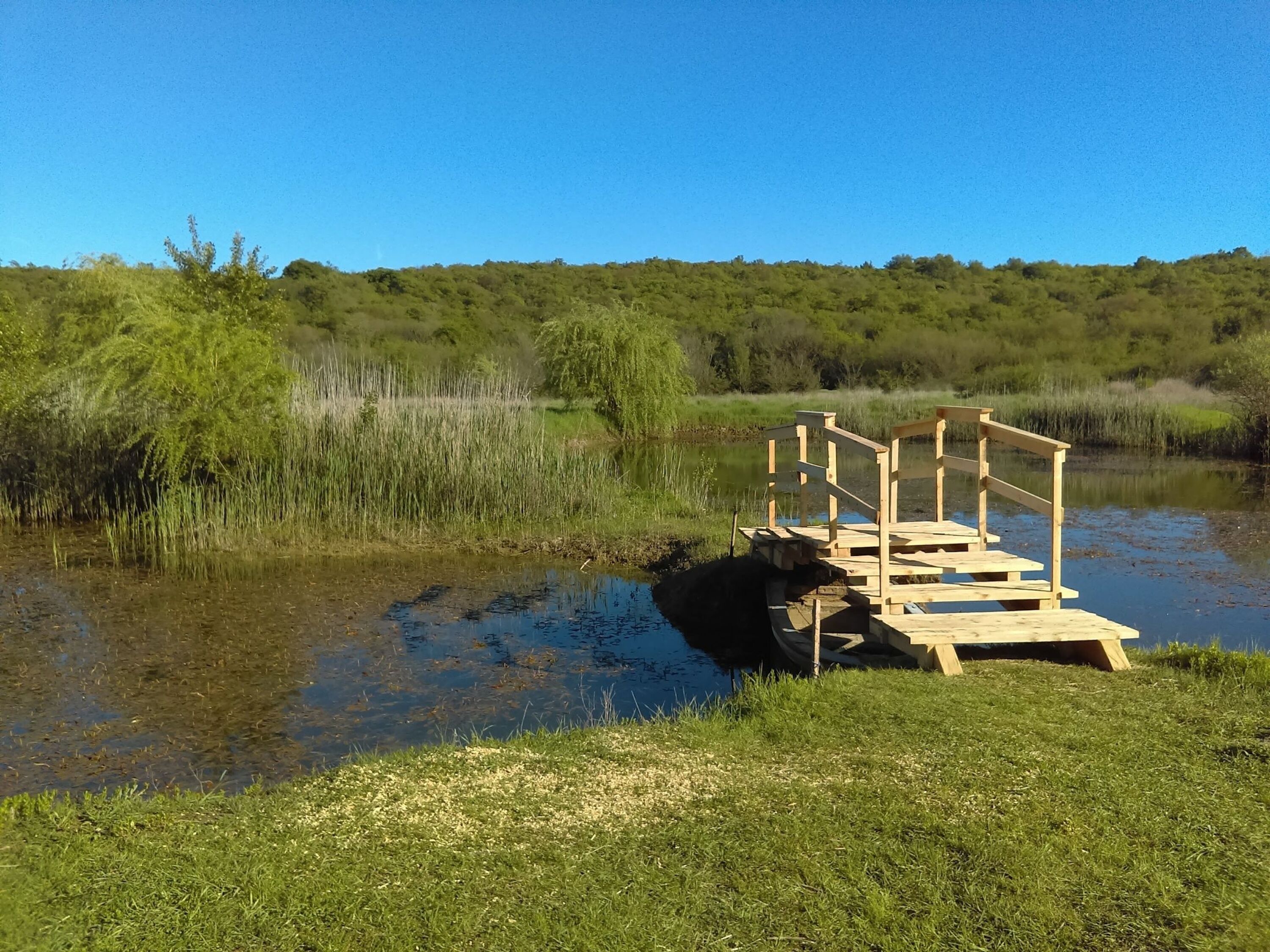 Une jetée en bois s’étendant sur une étendue d’eau calme, entourée d’une végétation luxuriante et sous un ciel bleu clair.