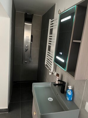 Shower, hair dryer, towels