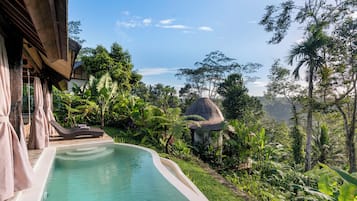 Villa Amhara | Private pool