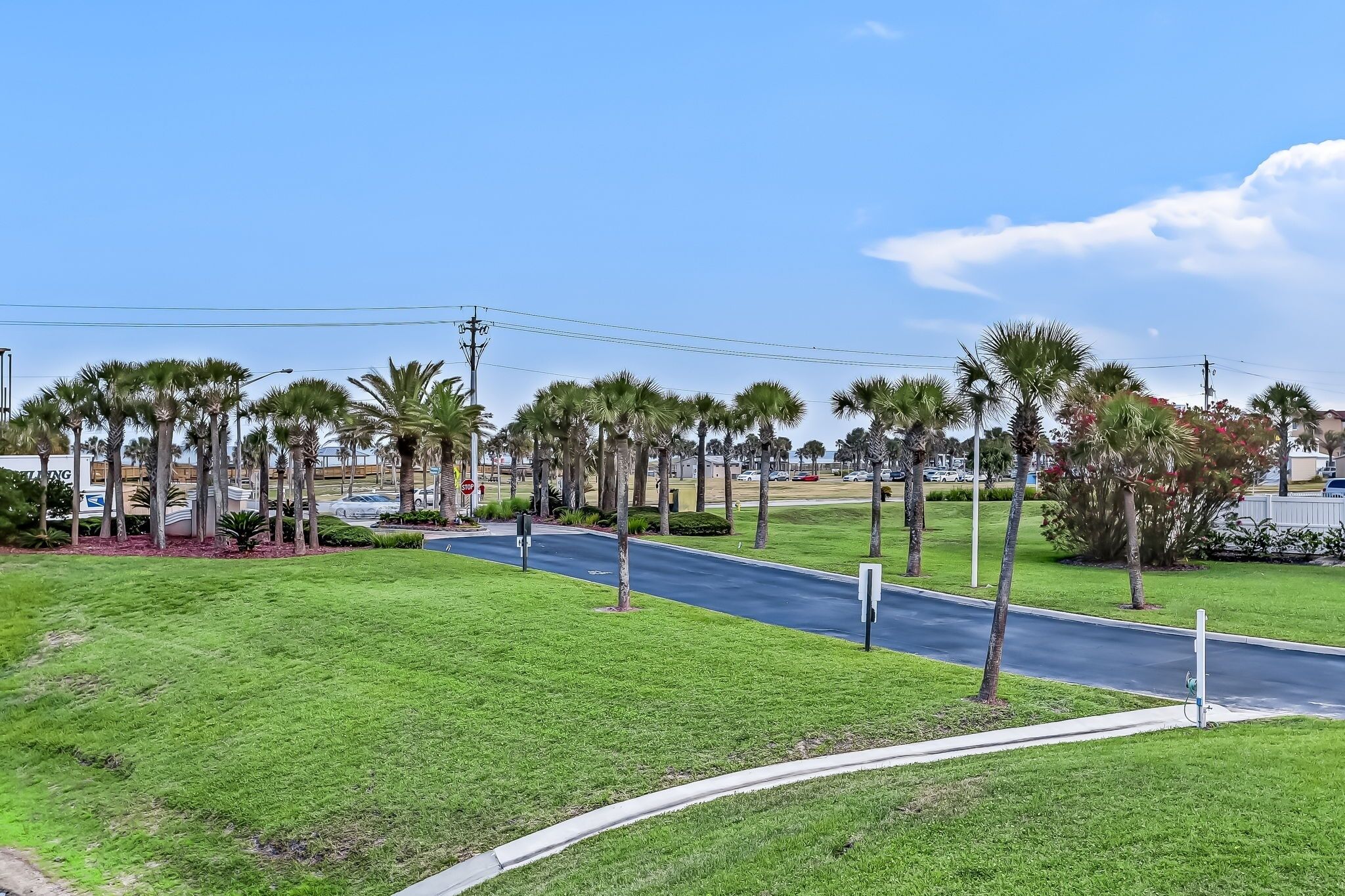A well-maintained grassy area with a curved road, palm trees, and a clear blue sky.