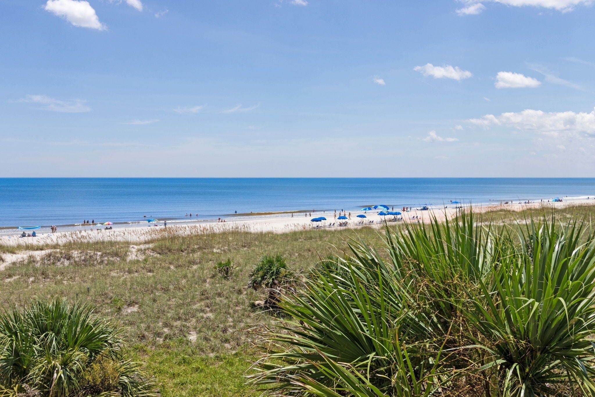 Condo, 1 Bedroom | Beach