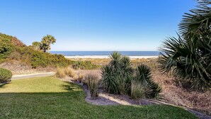 A coastal landscape with a clear view of the beach, a grassy area with various plants, and a palm tree. - Pet Friendly 2 Bedroom Villa w/ Pool - Captain's Court (Fernandina Beach)