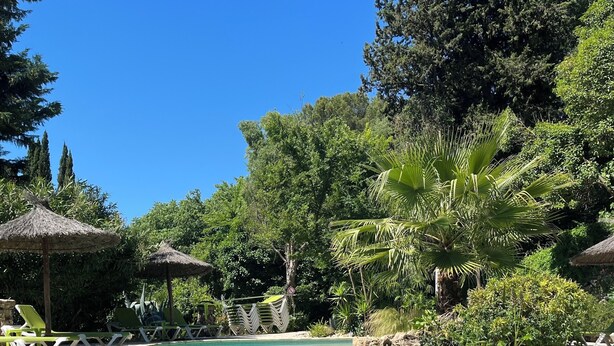 A clear swimming pool surrounded by lounge chairs and thatched umbrellas, with lush greenery in the background. - Domaine Saint Amour – Studio Océane: Romantic Getaway with Lake View, Pool & 2-Hectare Park (Trans-en-Provence)