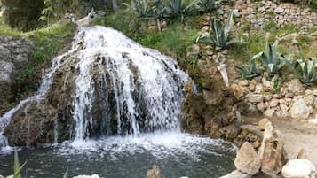 Terrein van de accommodatie