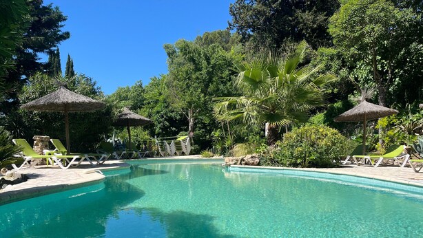 A clear swimming pool with lounge chairs and thatched umbrellas, surrounded by lush greenery. - Domaine Saint Amour – La Cascade Cottage, 2 ha Estate with Lake, Waterfall & Pool (Trans-en-Provence)