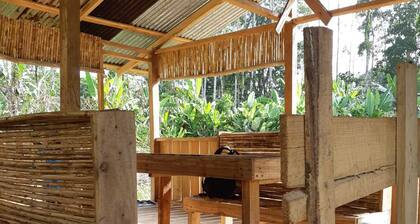 Eden travel Cabecars