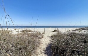 Beach - Ocean View 3 Bedroom Home - Pet Friendly (Fernandina Beach)