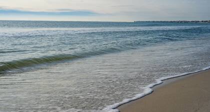 Dauphin Luv A - Beach Club #201-a 2 Bedroom Condo