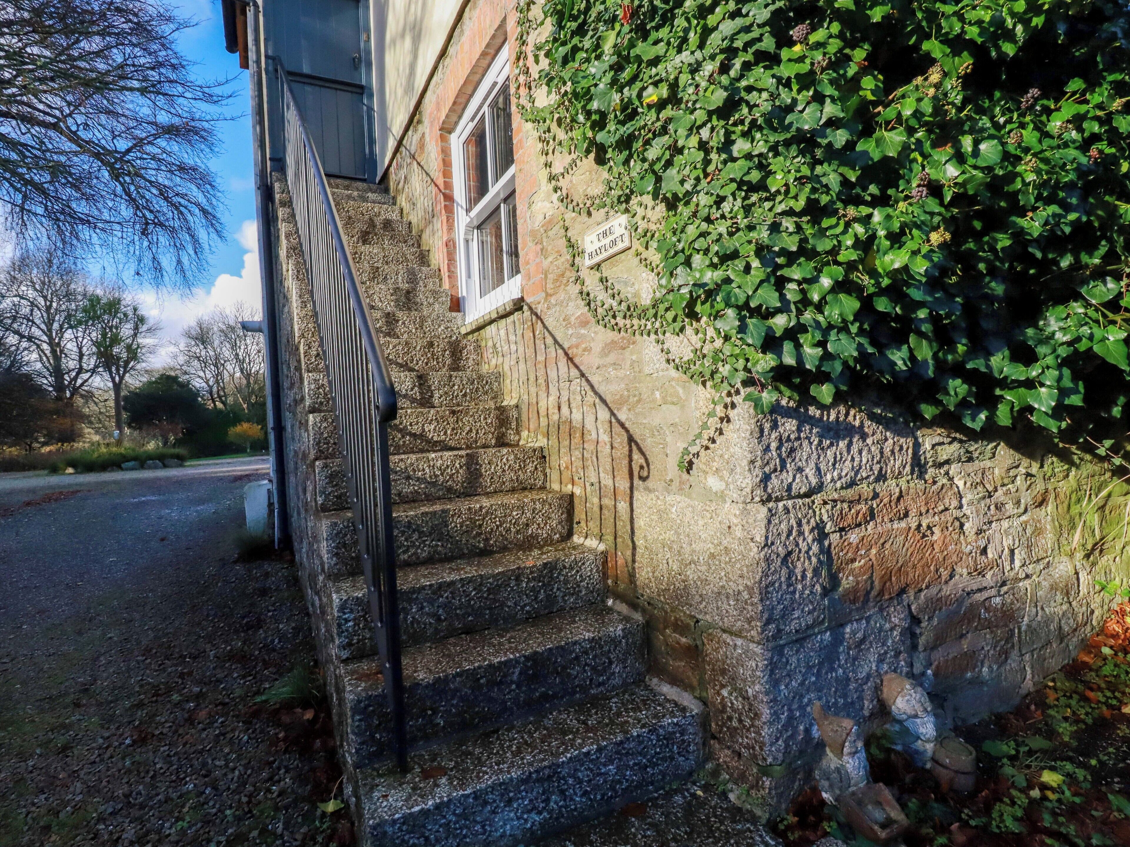 Overnattingsstedets uteområder