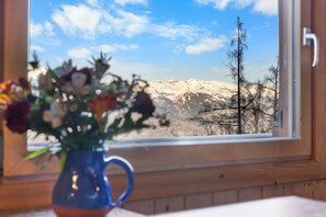 Interior - Le Petiot - mini chalet - maxi douceur - 4p (Haute-Nendaz)