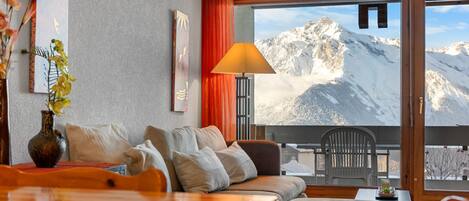 電視、DVD 播放機